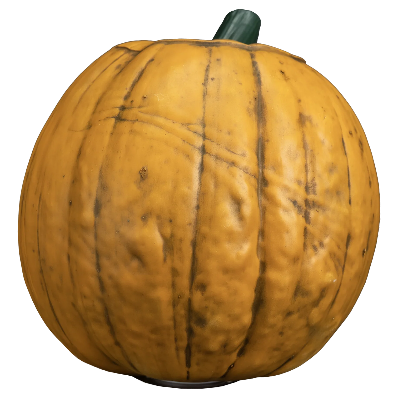 Sleepy Hollow - Light up Pumpkin