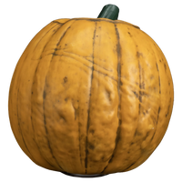 Sleepy Hollow - Light up Pumpkin