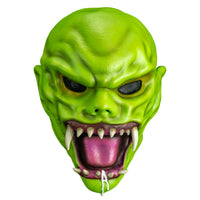 Goosebumps: Haunted Vinyl Mask