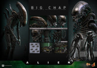 Alien: Big Chap - 1/6 Scale Figure - Hot Toys