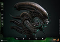 Alien: Big Chap - 1/6 Scale Figure - Hot Toys