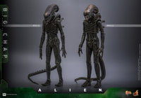 Alien: Big Chap - 1/6 Scale Figure - Hot Toys