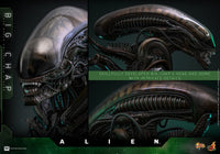 Alien: Big Chap - 1/6 Scale Figure - Hot Toys