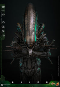 Alien: Big Chap - 1/6 Scale Figure - Hot Toys