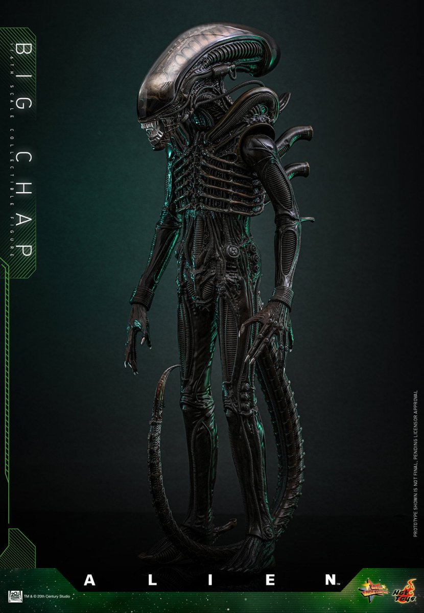 Alien Big Chap 1/6 Scale Figure - Collectible Action Figure – The
