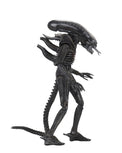 Alien: Big Chap (40th Anniversary) - 7" Scale Action Figure - NECA
