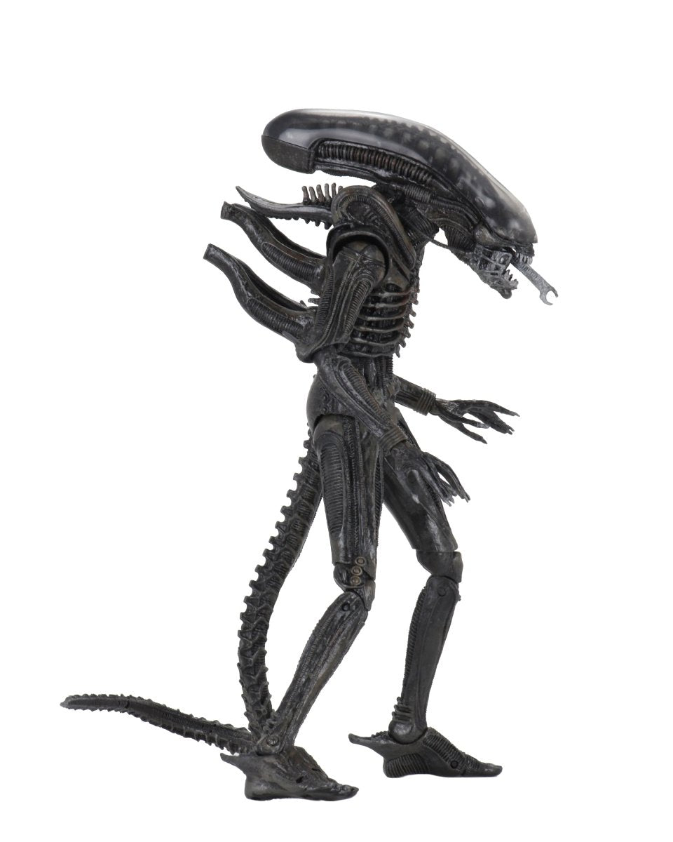 Alien: Big Chap (40th Anniversary) - 7" Scale Action Figure - NECA