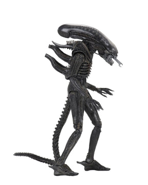 Alien: Big Chap (40th Anniversary) - 7" Scale Action Figure - NECA