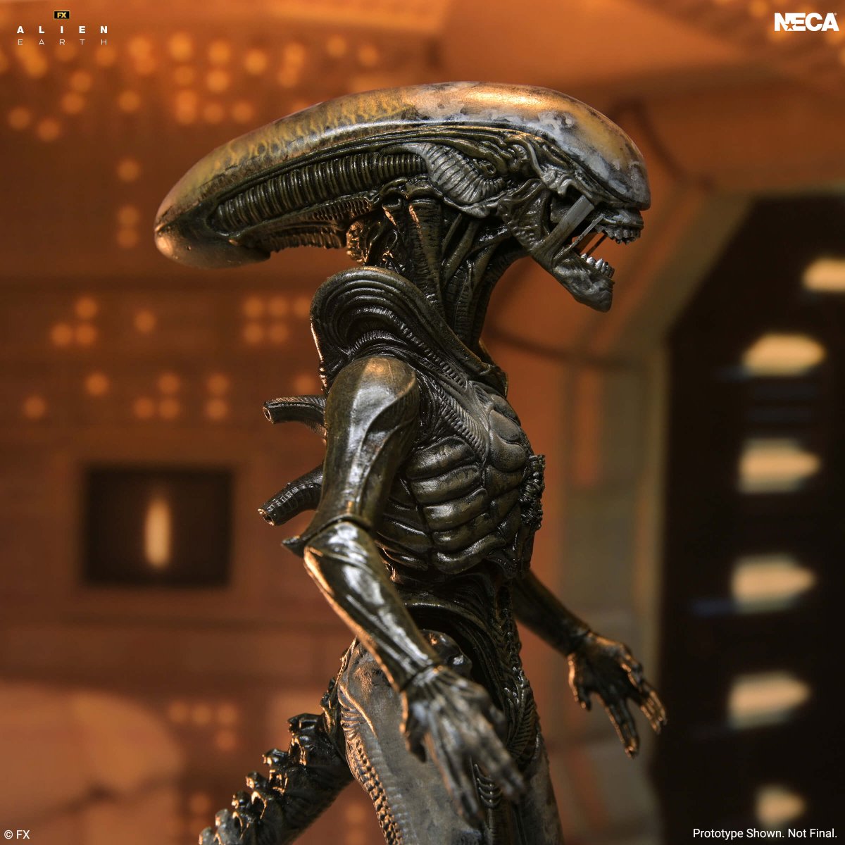 Alien Earth: Ultimate Wendy's Xenomorph - 7" Scale Figure (Pre-Order) - NECA