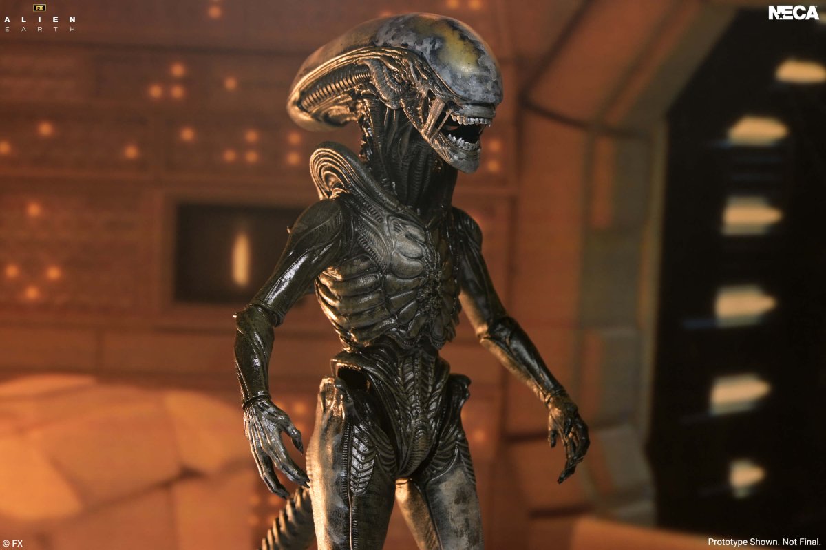 Alien Earth: Ultimate Wendy's Xenomorph - 7" Scale Figure (Pre-Order) - NECA