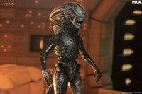 Alien Earth: Ultimate Wendy's Xenomorph - 7" Scale Figure (Pre-Order) - NECA