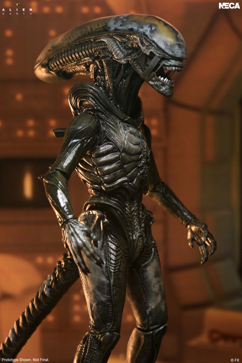 Alien Earth: Ultimate Wendy's Xenomorph - 7" Scale Figure (Pre-Order) - NECA