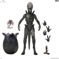 Alien Earth: Ultimate Wendy's Xenomorph - 7" Scale Figure (Pre-Order) - NECA