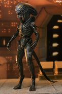 Alien Earth: Ultimate Wendy's Xenomorph - 7" Scale Figure (Pre-Order) - NECA