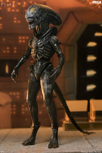 Alien Earth: Ultimate Wendy's Xenomorph - 7" Scale Figure (Pre-Order) - NECA