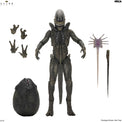 Alien Earth: Ultimate Xenomorph - 7" Scale Figure (Pre-Order) - NECA