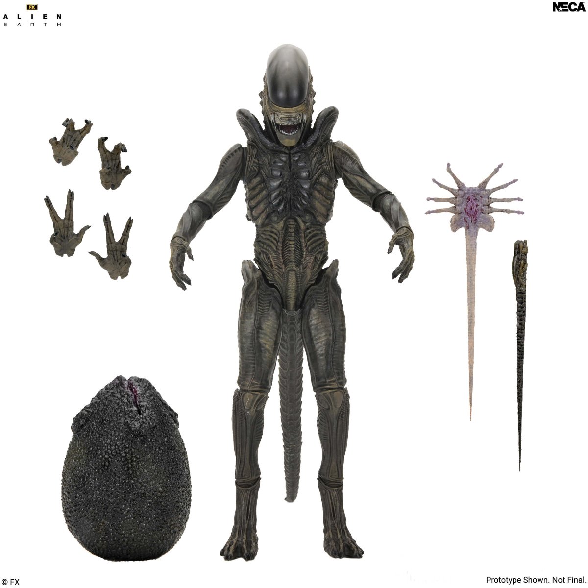 Alien Earth: Ultimate Xenomorph - 7" Scale Figure (Pre-Order) - NECA