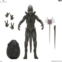 Alien Earth: Ultimate Xenomorph - 7" Scale Figure (Pre-Order) - NECA