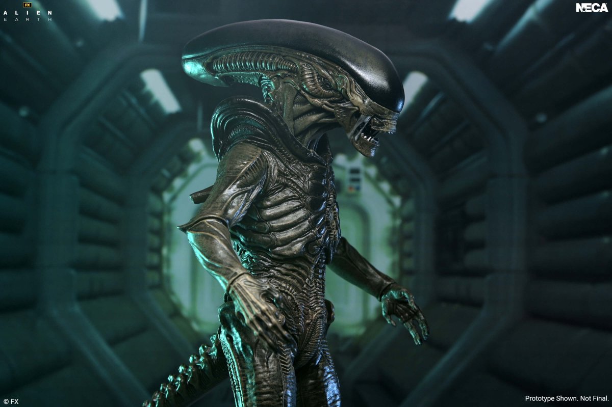 Alien Earth: Ultimate Xenomorph - 7" Scale Figure (Pre-Order) - NECA