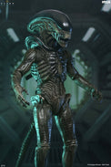 Alien Earth: Ultimate Xenomorph - 7" Scale Figure (Pre-Order) - NECA