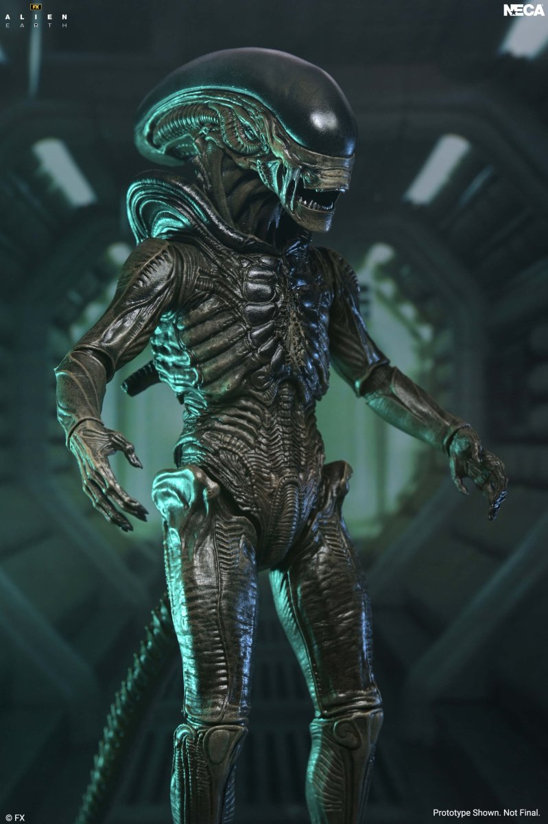 Alien Earth: Ultimate Xenomorph - 7" Scale Figure (Pre-Order) - NECA