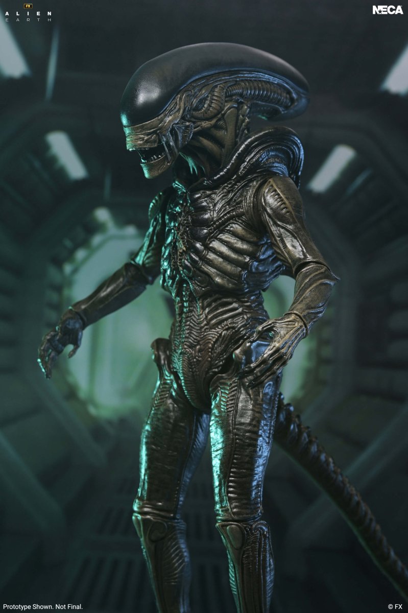 Alien Earth: Ultimate Xenomorph - 7" Scale Figure (Pre-Order) - NECA