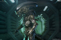 Alien Earth: Ultimate Xenomorph - 7" Scale Figure (Pre-Order) - NECA