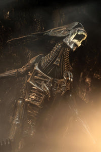 Alien Resurrection: Alien Queen - Ultra Deluxe Boxed Figure - NECA