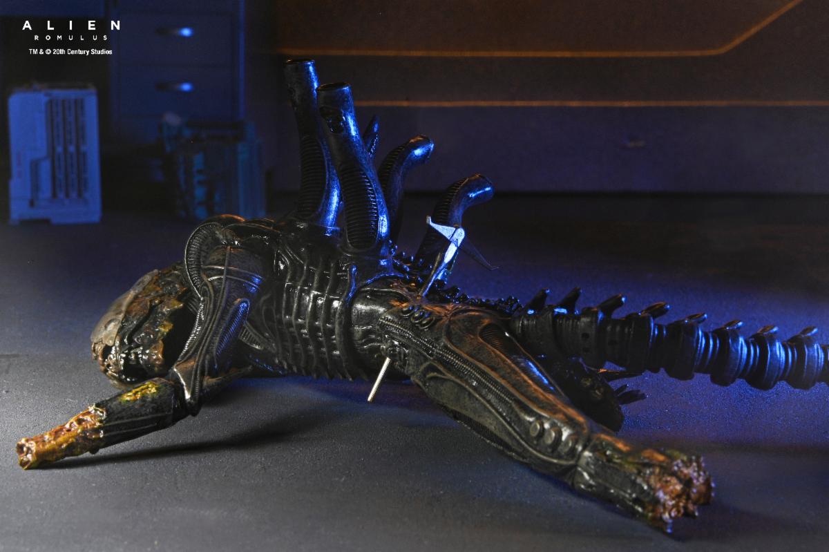 ALIEN 975 とALIEN 975 Chase版 の2体セット Alien: Romulus Ultimate Xenomorph XX121 (box not mint) — TOY