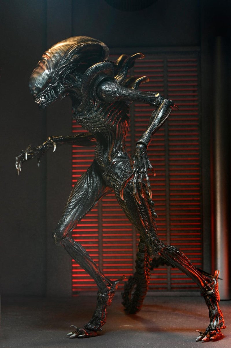 NECA Scorched Xenomorph (未開封品:外箱ダメージ有り) NECA Alien : Romulus 7