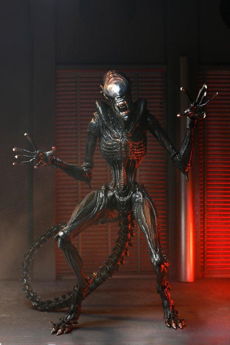 ALIEN: ROMULUS Scorched Xenomorph フィギュア Scorched Xenomorph Sixth Scale Figure by Hot Toys | Sideshow