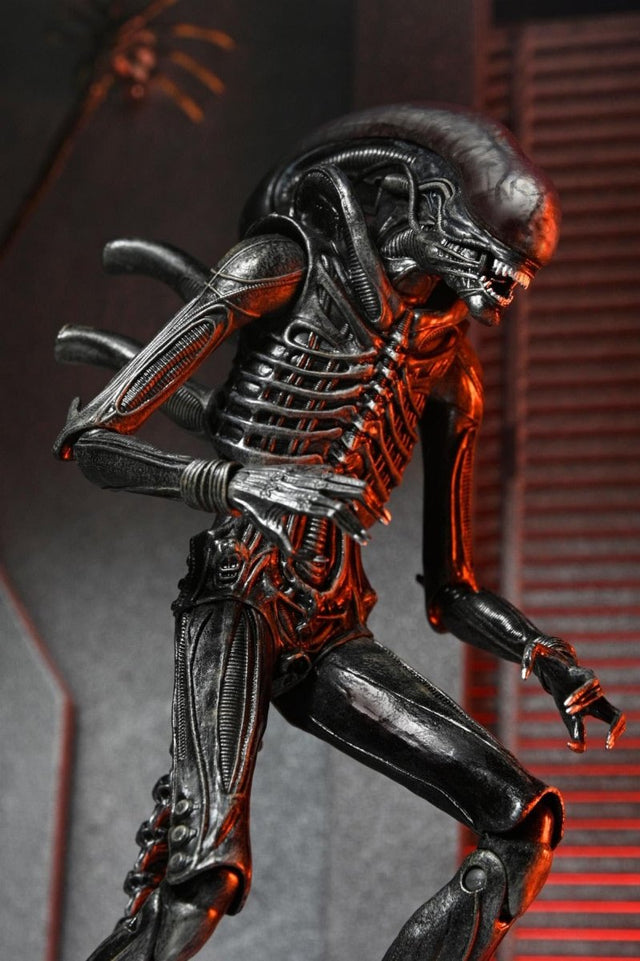 Alien Romulus: Ultimate Xenomorph XX121 - 7" Scale Figure - The Last Toy Store