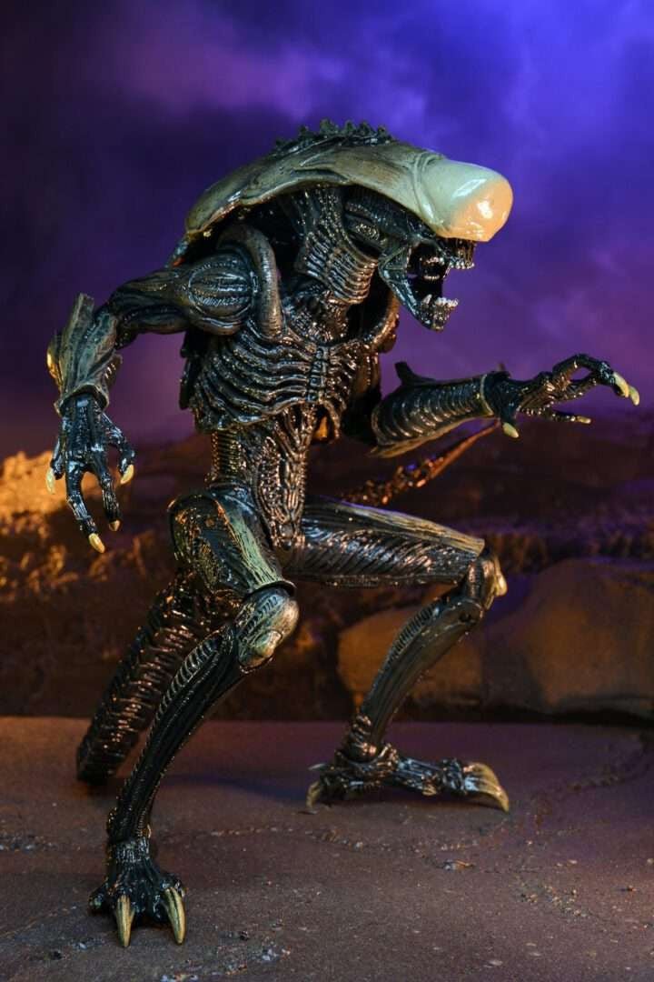 Alien Vs Predator: Chrysalis Alien (Movie Deco) - The Last Toy Store