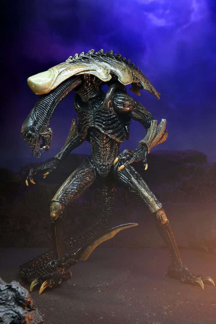 Alien Vs Predator: Chrysalis Alien (Movie Deco) - The Last Toy Store