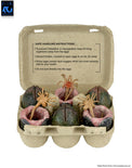 Aliens (40th Anniversary): Accessory Pack - Carton of Alien Eggs - NECA
