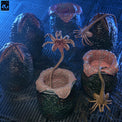Aliens (40th Anniversary): Accessory Pack - Carton of Alien Eggs - NECA