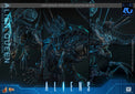 Aliens (40th Anniversary): Alien Queen - 1/6 Scale Figure (Pre-Order) - Hot Toys