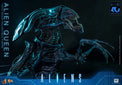 Aliens (40th Anniversary): Alien Queen - 1/6 Scale Figure (Pre-Order) - Hot Toys