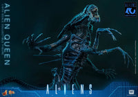 Aliens (40th Anniversary): Alien Queen - 1/6 Scale Figure (Pre-Order) - Hot Toys