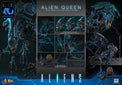 Aliens (40th Anniversary): Alien Queen - 1/6 Scale Figure (Pre-Order) - Hot Toys