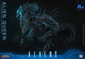 Aliens (40th Anniversary): Alien Queen - 1/6 Scale Figure (Pre-Order) - Hot Toys
