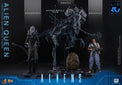 Aliens (40th Anniversary): Alien Queen - 1/6 Scale Figure (Pre-Order) - Hot Toys