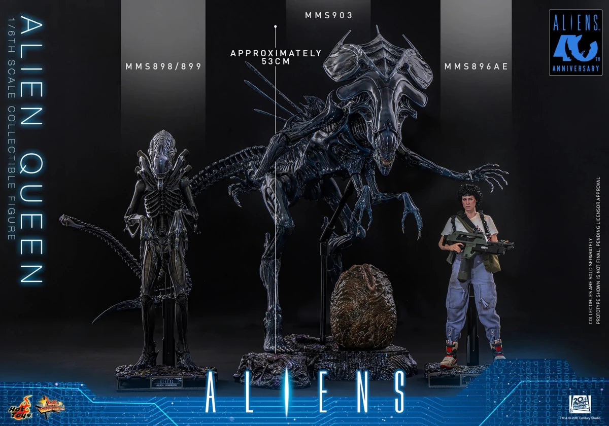 Aliens (40th Anniversary): Alien Queen - 1/6 Scale Figure (Pre-Order) - Hot Toys