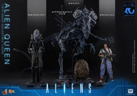 Aliens (40th Anniversary): Alien Queen - 1/6 Scale Figure (Pre-Order) - Hot Toys
