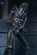Aliens (40th Anniversary): Ultimate Warrior Xenomorph - 7" Scale Figure - NECA
