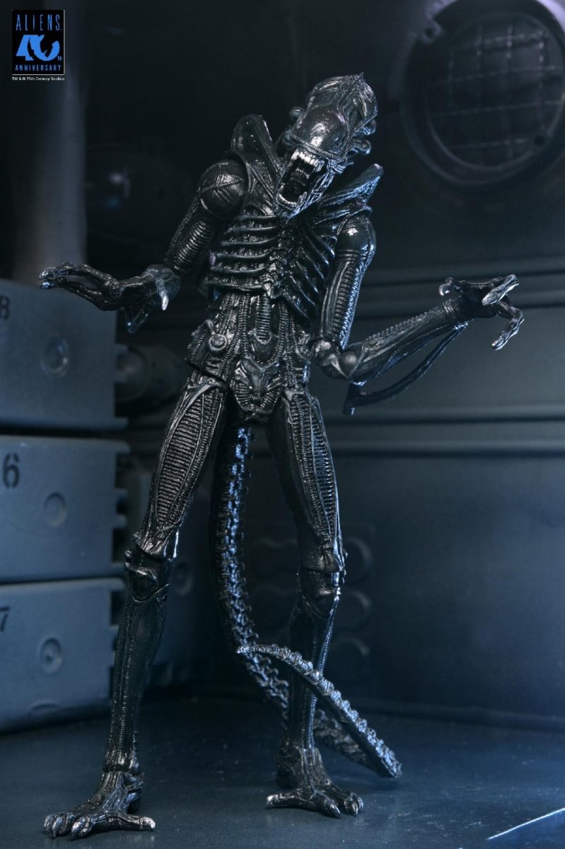 Aliens (40th Anniversary): Ultimate Warrior Xenomorph - 7" Scale Figure - NECA