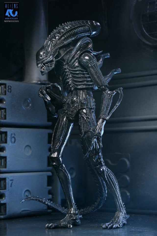 Aliens (40th Anniversary): Ultimate Warrior Xenomorph - 7" Scale Figure - NECA