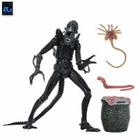 Aliens (40th Anniversary): Ultimate Warrior Xenomorph - 7" Scale Figure - NECA