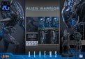 Aliens: Alien Warrior - 1/6 Scale Figure (Pre-Order) - Hot Toys