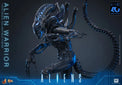 Aliens: Alien Warrior - 1/6 Scale Figure (Pre-Order) - Hot Toys